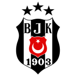 Logo Team Beşiktaş