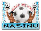 Nasinu Team Logo