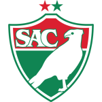 Salgueiro Team Logo