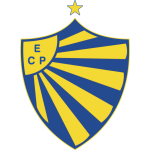 Pelotas Team Logo