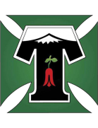 Deportes Temuco Team Logo