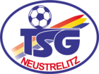 Neustrelitz Team Logo