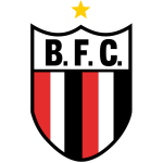 Botafogo SP Team Logo