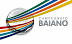 Baiano 1 League Logo