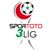 3. Lig Play-offs League Logo