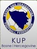 Bosnia Cup logo