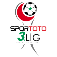 3. Lig: Group 1 logo