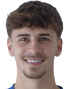 F. Lippert Neto Gomes