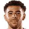 photo of Che Adams