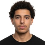 N. Hamdaoui