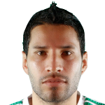 Avatar do(a) Elkin Calle Grajales