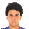 Avatar do(a) Emerson Urso