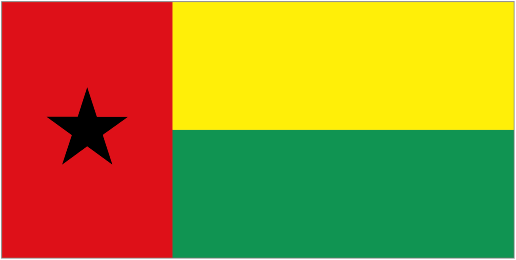 Guinea-Bissau Team Logo