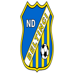 team logo