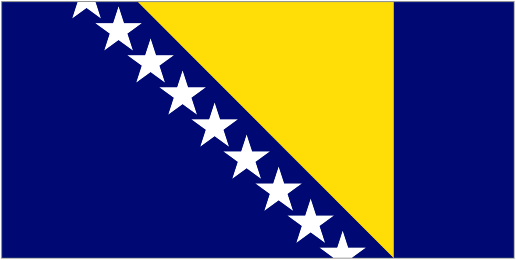 Bosnia and Herzegovina Team Logo