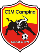 team logo