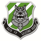 Gelezinis Vilkas logo