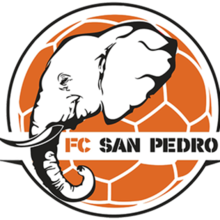 logo: San-Pedro