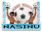 Nasinu logo