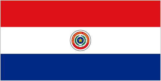 Paraguay U17 logo