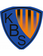 Karacabey Birlikspor logo