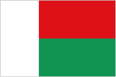 Madagascar Team Logo
