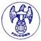 Toronto Falcons_logo