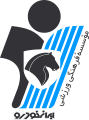 logo: Paykan