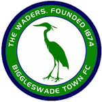 Biggleswade Town Team Logo