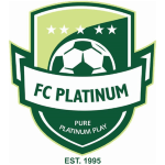 Platinum Team Logo
