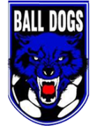 Ball Dogs logo
