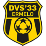 logo: DVS '33