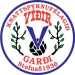 Vídir Team Logo