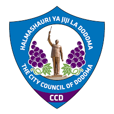 Dodoma Jiji logo