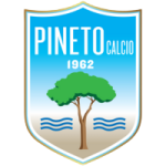 Pineto Team Logo