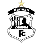 Zamora II logo