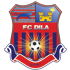 Dila Team Logo