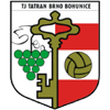 Logo Team TJ Tatran Bohunice
