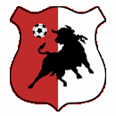Bonyhad Volgyseg logo
