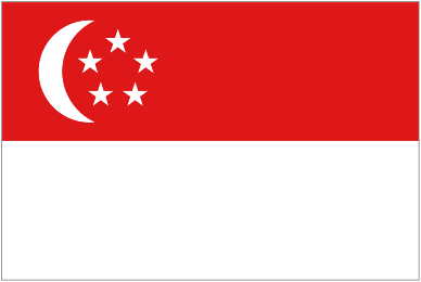 Singapore Team Logo