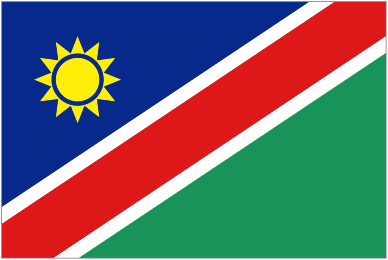 Namibia Team Logo