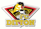 Ditton-2 logo