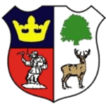 Logo: Cinderford Town