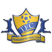 Teungueth Team Logo