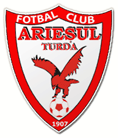 Ariesul Turda logo