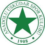 Anadolu Bağcılar logo