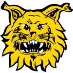 logo: Ilves