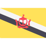 Brunei Darussalam logo