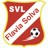 Flavia Solva logo