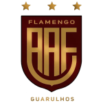 Flamengo SP U20 logo